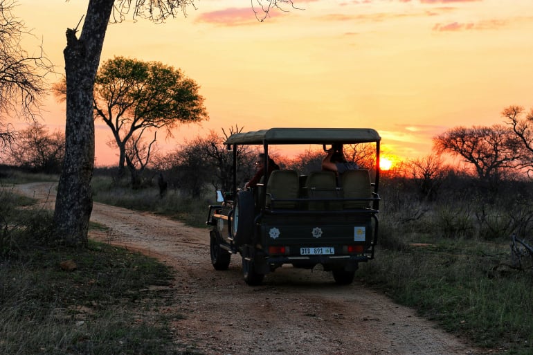 Animal Parks & Wildlife Tours